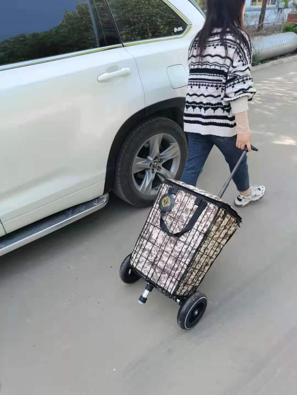 T8 Portable Hand Pull Cart with Telescopic Handle, Waterproof Insulated Bag for Camping & Groceries