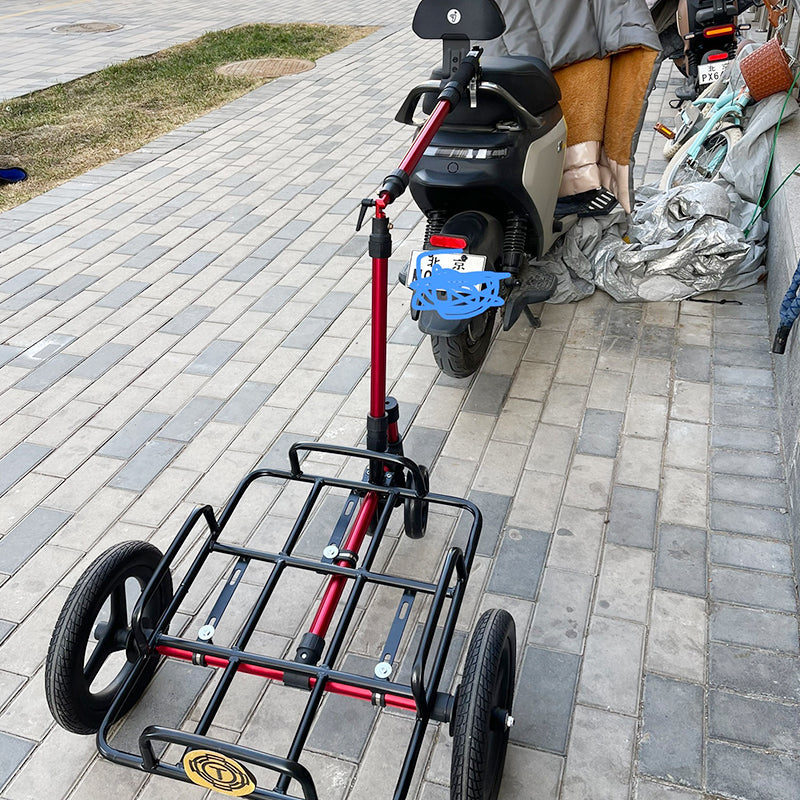 Z12+ 2-in-1 Bike & E-Bike Cargo Trailer with Rotatable Clamp and Removable Insulated Cooler Box