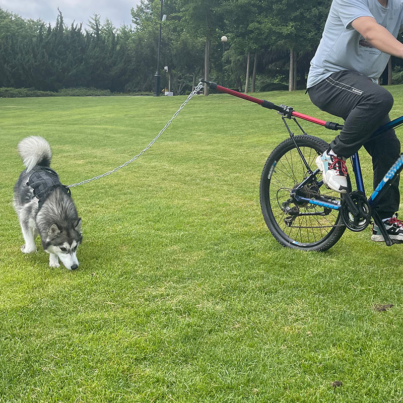 F-1 Bicycle Dog Walking System – Adjustable Aluminum Bike Leash Attachment for 1 Dog
