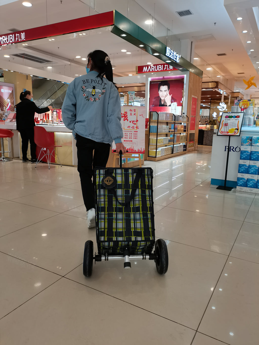 T8 Portable Hand Pull Cart with Telescopic Handle, Waterproof Insulated Bag for Camping & Groceries